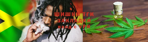 сатива Балахна
