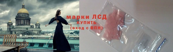 сатива Балахна