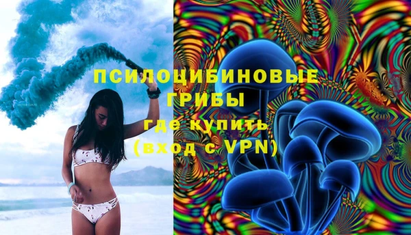 сатива Балахна
